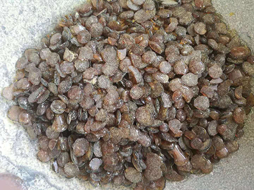 古馬隆樹脂